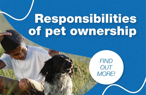 Responsibilities of Pet Ownership