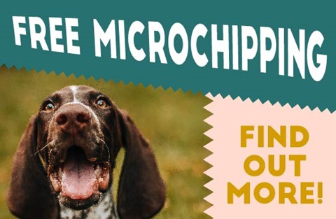 Free Microchipping 16 March 2024