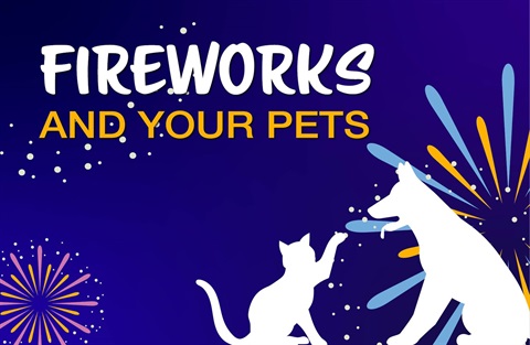 PET-FIREWORKS-WEB-TILE.jpg