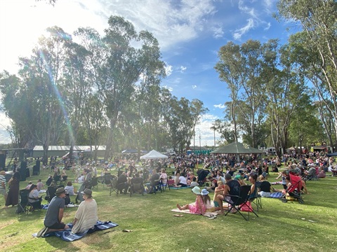 Rowers Park Crowd_ Rock On The River.jpg