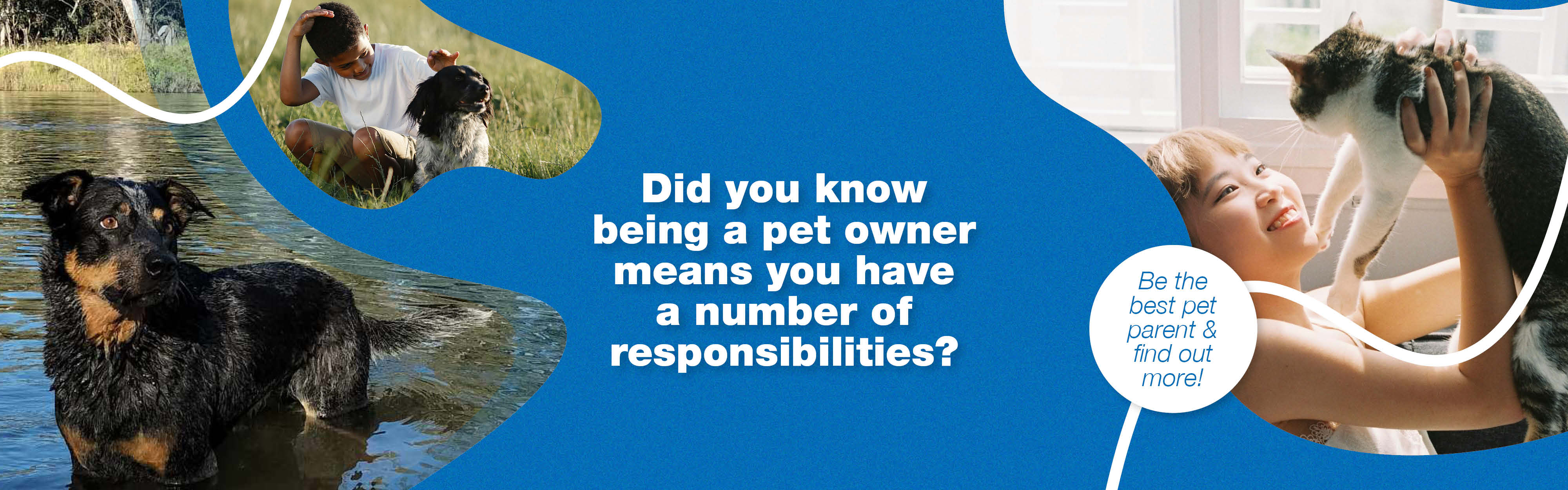 Responsibilities of Pet Owners