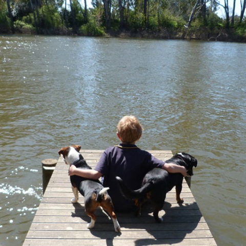 A boy with his dogs on the jetty